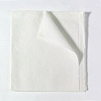 Drape Sheets 40"x48" - 100's